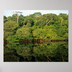 Poster Anavilhanas, Amazonas, Brésil. Rivière de la forêt