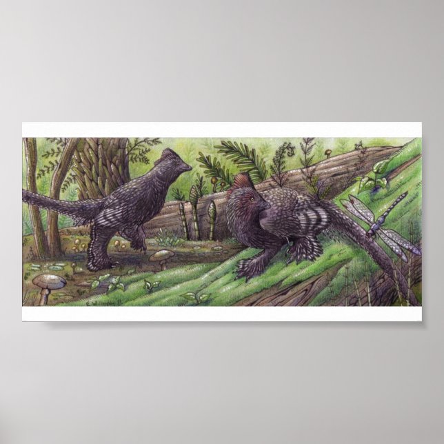 Poster Anchiornis : Dimorphisme Imprimer (Devant)