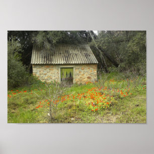 Poster Ancien chalet en pierre rustique Fleurs de prairie