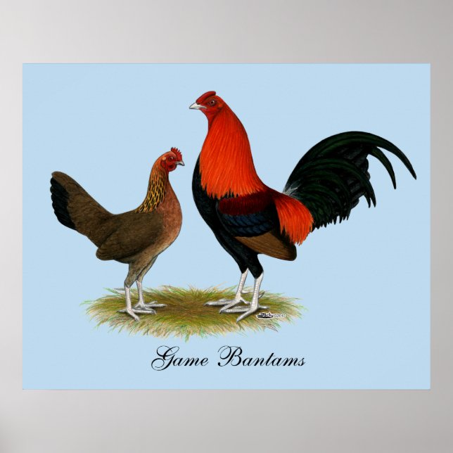 Poster Ancien jeu anglais Bantams : BB Red Pair (Devant)