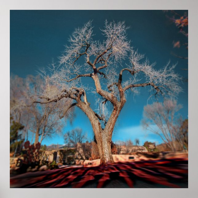 Poster Anciennes racines de Canyon Road (Devant)
