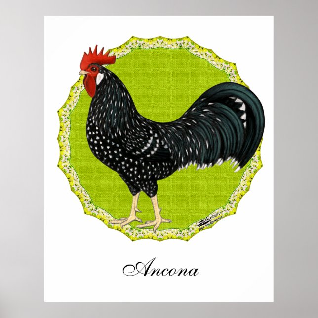 Poster Ancône (Devant)