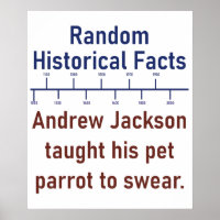 Andrew Jackson A Appris Son Perroquet À Jouer - Hi