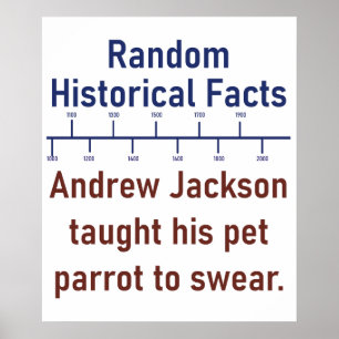 Poster Andrew Jackson A Appris Son Perroquet À Jouer - Hi