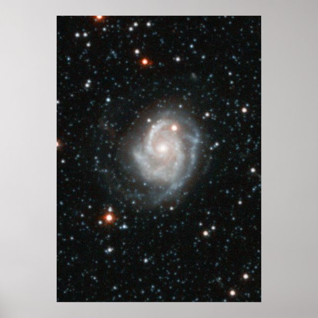 Poster Andromeda Galaxy Halo (Devant)