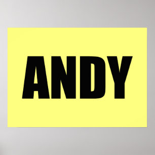Poster Andy