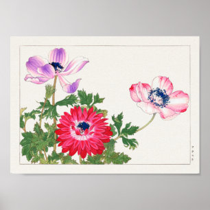 Poster Anemone coronaria par Tanigami Konan