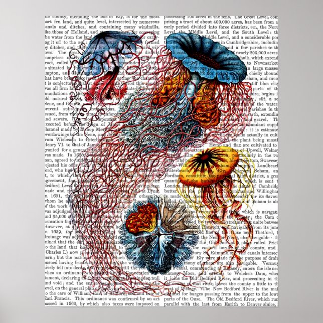 Poster Anémone de mer (Devant)