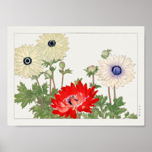 Poster Anemone par Tanigami Konan