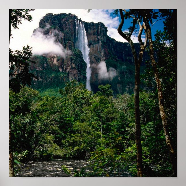 Poster Angel Falls (Devant)