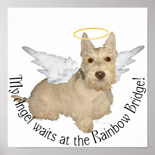 Poster Anges Wheaten Scottish Terrier (Devant)