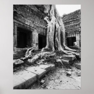 Poster Angkor Cambodia, Ta Prohm Tree