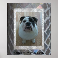 Poster anglais Bulldog Puppy "Inconditionnel Love"