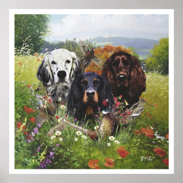 Poster Anglais Setter, chasse aux oiseaux (Devant)