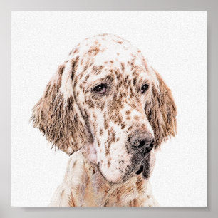 Poster Anglais Setter Orange Belton Peinture Chien Art