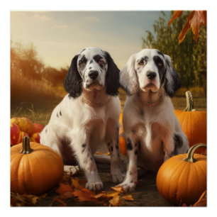 Poster Anglais Setter Puppy Automne Citrouille de plaisir