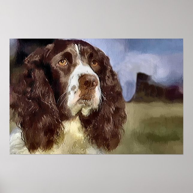 Poster Anglais Springer Spaniel Art Prints Cadeaux (Devant)