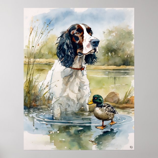 Poster Anglais Springer Spaniel - Chien Art Imprimer (Devant)