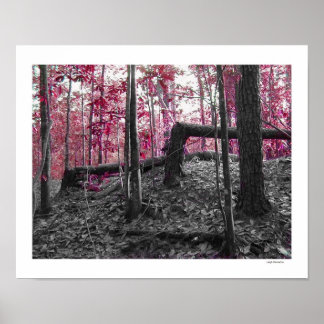 Poster Angles droits