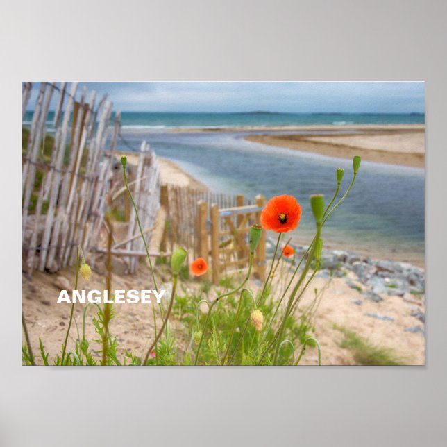 Poster Anglesey Wales Vue Pittoresque Plage Et Poppies Sa (Devant)
