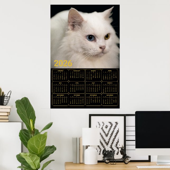 Poster Angora Cat with Heterochromia – 2026 Calendar  (Bureau à domicile)