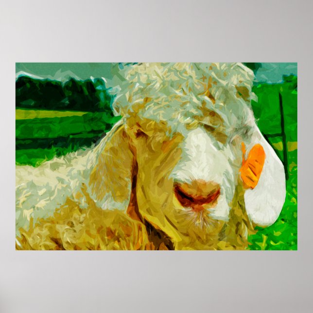 Poster Angora Chèvre avec étiquette oreille Impressionnis (Devant)