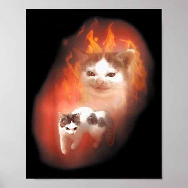 Poster Angry Cat Meme Funny Silly Cat Kitten Lover Humor  (Devant)