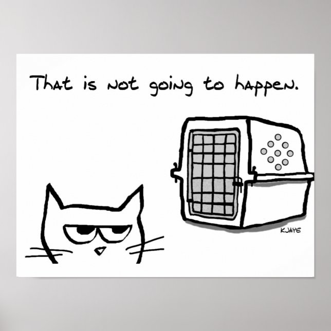 Poster Angry Cat ne sera pas aller à l'vétérinaire (Devant)