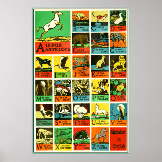 Poster animal Abc Alphabet - Carte de l'aide pédag