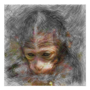 Poster animal artistique bébé singe