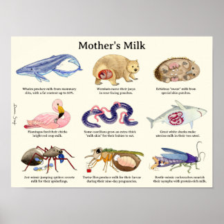 Poster animal au lait de la mère