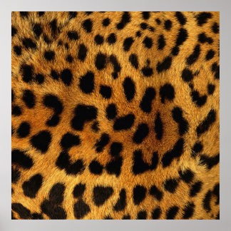 Poster animal chic tendance motif brun empreinte de léopa