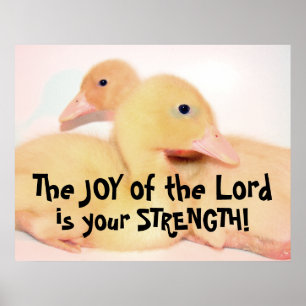 Poster Animal familier d'animal d'oiseau de caneton de