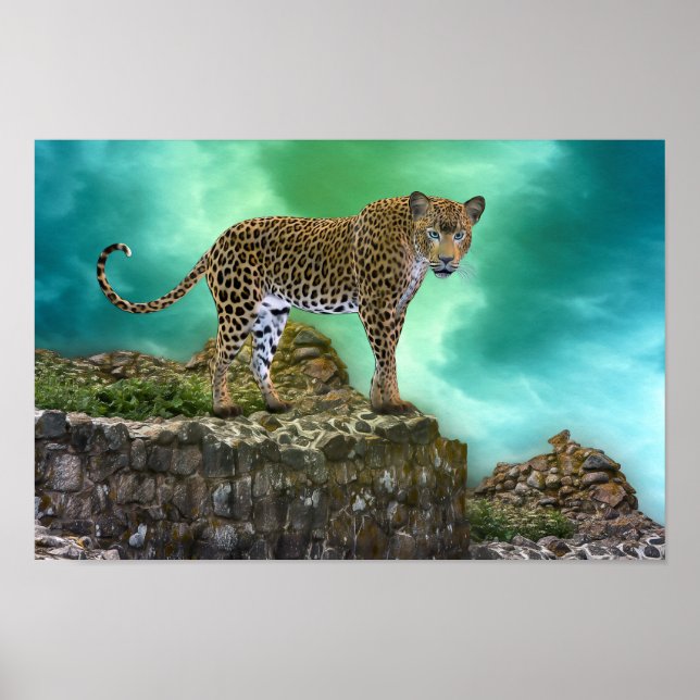 Poster Animal Portrait Wild Cat (Devant)