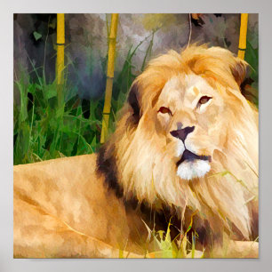 Poster Animal sauvage de Lion africain