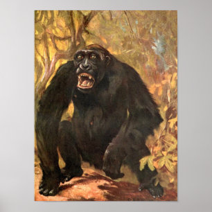 Poster Animal sauvage vintage, gorille ou grand singe par