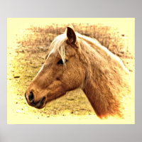 Poster animal Sunny Blonde et Brown Horse
