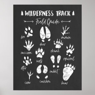 Poster Animal Track nursery print Woodland Nursery
