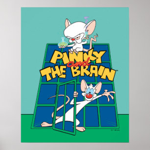 Poster Animaniacs   Pinky et le graphique de la cage céré