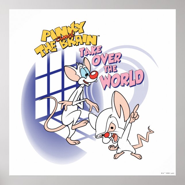 Poster Animaniacs | Reprendre Le Monde Graphique (Devant)