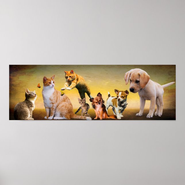 Poster Animaux (Devant)