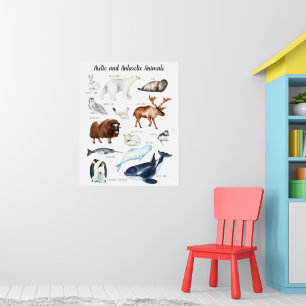 Poster Animaux arctiques Formation en classe