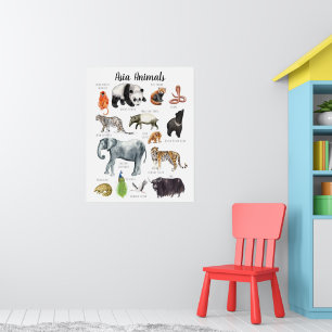 Poster Animaux asiatiques   Formation en classe