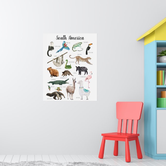 Poster Animaux d'Amérique du Sud | Classe d'éducation (Pépinière 1)