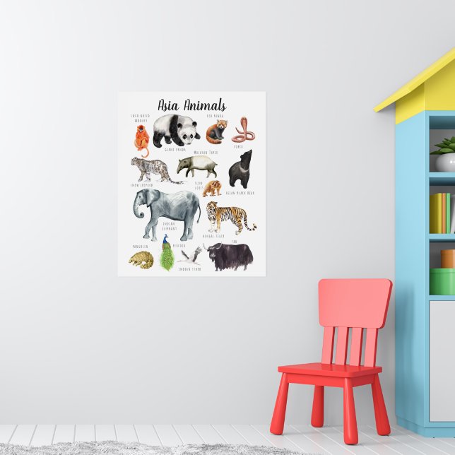 Poster Animaux d'Asie | Éducation Apprentissage Salle de  (Pépinière 1)
