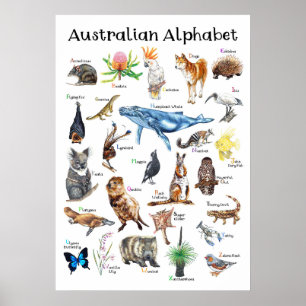 Poster Animaux d'Australie
