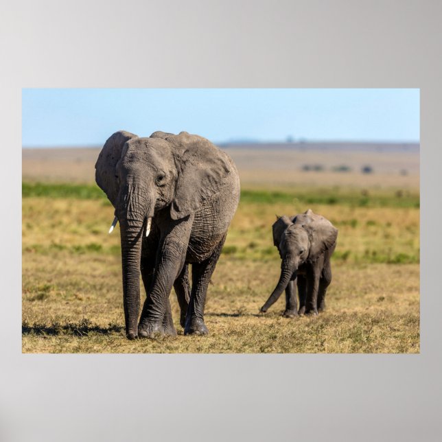 Poster Animaux de bébés cutest | Eléphant mère & bébé (Devant)