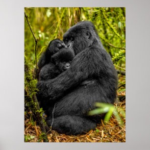 Poster Animaux de bébés cutest   Gorilla & bébé