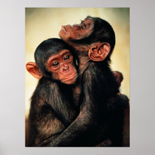 Poster Animaux de bébés cutest   Hug de chimpanzé