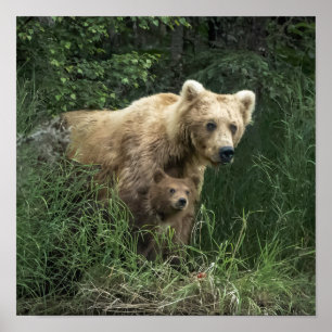 Poster Animaux de bébés cutest Ours Mama Ours et ses pe